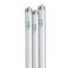 4' SunLite® T-8 Bulbs, Set Of 3 2 4' SunLite® T-8 Bulbs, Set Of 3 -Best Garden Care Shop 34745 001ed tif