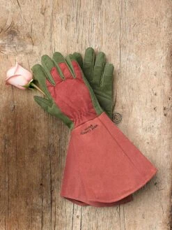 Rose Gloves 6 Rose Gloves -Best Garden Care Shop 36874 012 tif