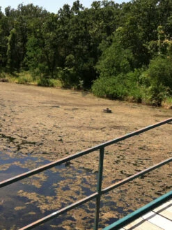 Blast, 2,500 Gallon, 5 Packets -Best Garden Care Shop 37425 001v 1