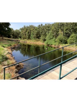 Blast, 2,500 Gallon, 5 Packets -Best Garden Care Shop 37425 002v 1