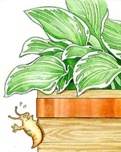 Copper Slug Tape 7 Copper Slug Tape -Best Garden Care Shop 38 994 b