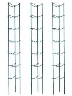 Tomato Ladders, Set Of 3 -Best Garden Care Shop 38184 002E psd