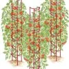 Tomato Ladders, Set Of 3 2 Tomato Ladders, Set Of 3 -Best Garden Care Shop 38185 001E psd