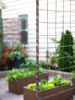 Jardin Rose Arch -Best Garden Care Shop 38690 9948 tif