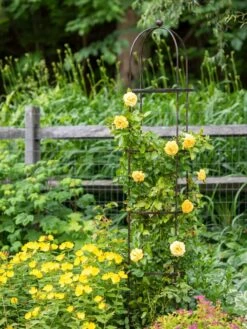 Jardin Round Obelisk, 7' 9 Jardin Round Obelisk, 7' -Best Garden Care Shop 39 530 1668 tif