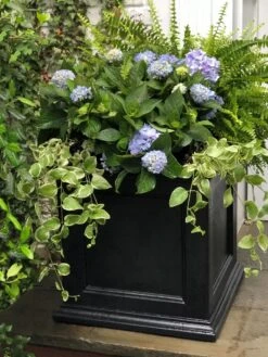 Fairfield Self-Watering Square Planter, 20” X 20” 13 Fairfield Self-Watering Square Planter, 20” X 20” -Best Garden Care Shop 39 618 205V tif