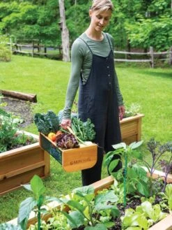 Garden Hods -Best Garden Care Shop 39 761 0146 tif