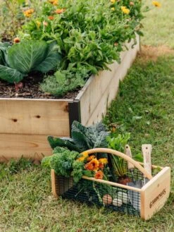 Garden Hods -Best Garden Care Shop 39 761 572 tif