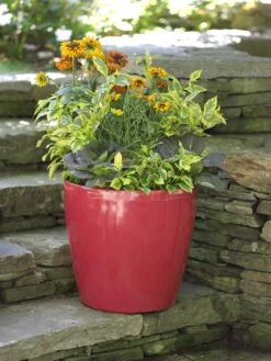 Viva Round Self-Watering Rolling Planter, 17.25” Diameter 11 Viva Round Self-Watering Rolling Planter, 17.25” Diameter -Best Garden Care Shop 39326 046 tif