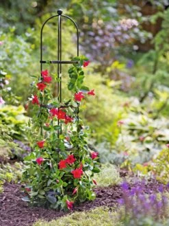 Essex Round Trellises 13 Essex Round Trellises -Best Garden Care Shop 39544 2267 tif