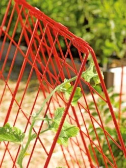 Deluxe Cucumber Trellis -Best Garden Care Shop 39806 542 tif