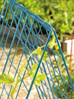 Deluxe Cucumber Trellis -Best Garden Care Shop 39806 BLUE 100 tif