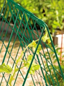 Deluxe Cucumber Trellis -Best Garden Care Shop 39806 GR edit tif