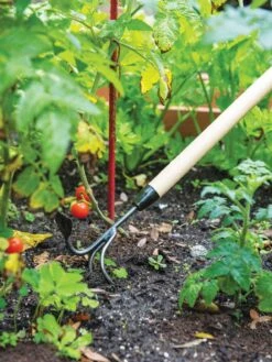 Gardener's Lifetime Long-Handled Double Tool -Best Garden Care Shop 3 4 crop 8592107 2460 tif