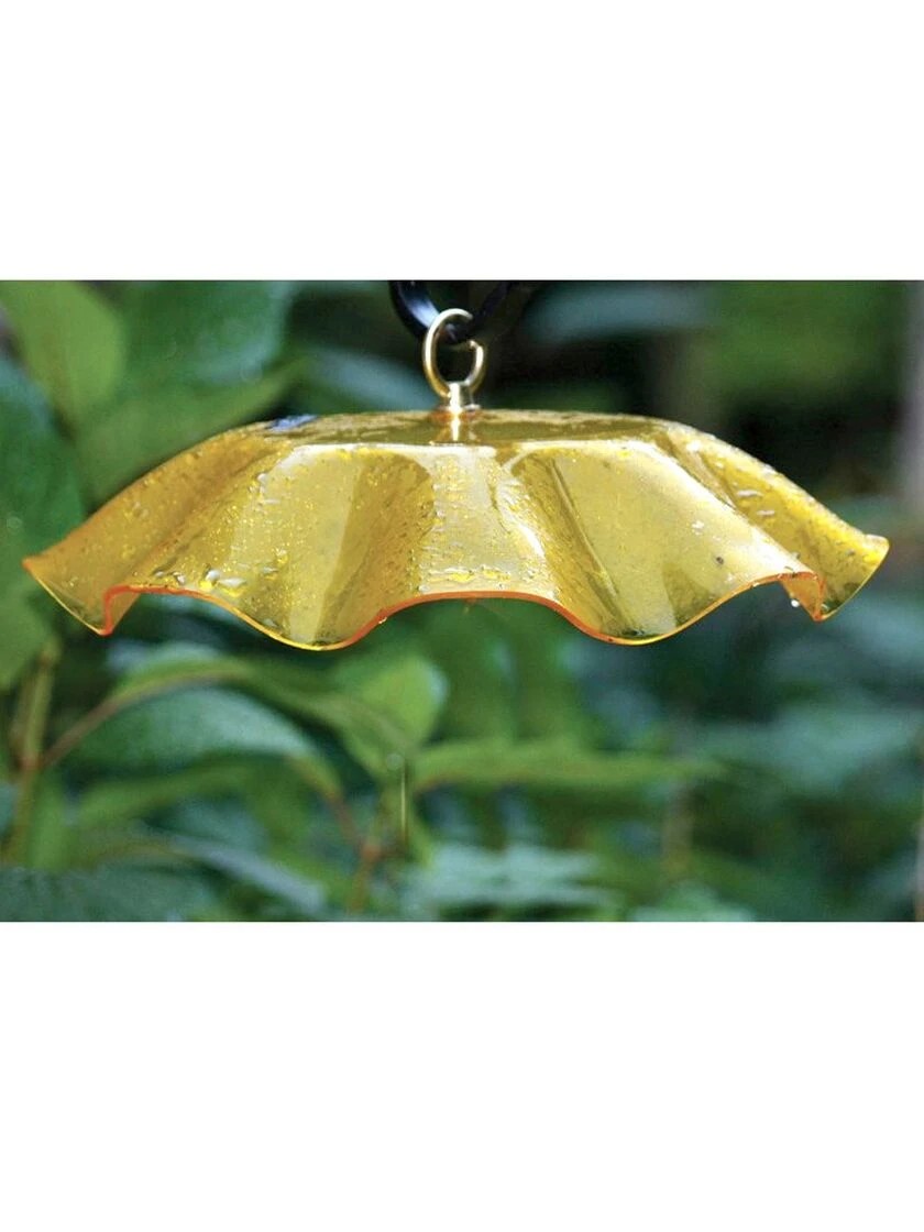 Birds Choice Weather Guard Feeder Cover 4 Birds Choice Weather Guard Feeder Cover - Image 2