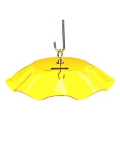 Birds Choice Weather Guard Feeder Cover 17 Birds Choice Weather Guard Feeder Cover -Best Garden Care Shop 3 4 crop 8608735 25V