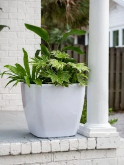 Viva Square Self-Watering Rolling Planter, 20" Diameter, Set Of 2 -Best Garden Care Shop 3 4 crop 8612930 0033 tif