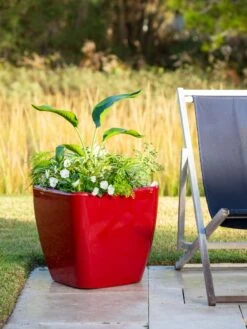 Viva Square Self-Watering Rolling Planter, 20" Diameter, Set Of 2 -Best Garden Care Shop 3 4 crop 8612930 0035 tif