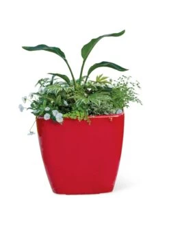 Viva Square Self-Watering Rolling Planter, 20" Diameter, Set Of 2 -Best Garden Care Shop 3 4 crop 8612930 0037 tif