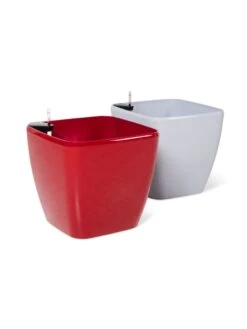 Viva Square Self-Watering Rolling Planter, 20" Diameter, Set Of 2 -Best Garden Care Shop 3 4 crop 8612930 0104