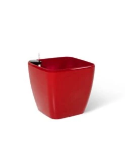 Viva Square Self-Watering Rolling Planter, 20" Diameter, Set Of 2 -Best Garden Care Shop 3 4 crop 8612930 0105