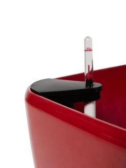 Viva Square Self-Watering Rolling Planter, 20" Diameter, Set Of 2 -Best Garden Care Shop 3 4 crop 8612930 0107