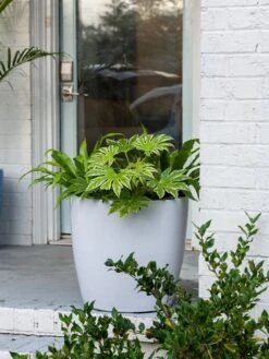 Viva Round Self-Watering Rolling Planter, 20" Diameter, Set Of 2 -Best Garden Care Shop 3 4 crop 8612933 0025 tif