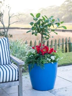 Viva Round Self-Watering Rolling Planter, 20" Diameter, Set Of 2 -Best Garden Care Shop 3 4 crop 8612933 5312 tif