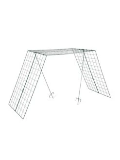 Over The Top Cucumber And Squash Trellis 13 Over The Top Cucumber And Squash Trellis -Best Garden Care Shop 3 4 crop 8613058 4890