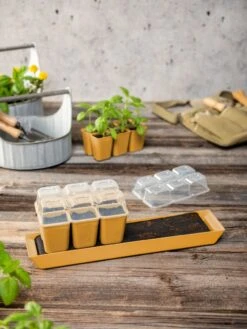 Gardener's Best® Humidity Dome, Set Of 2 -Best Garden Care Shop 3 4 crop 8613067 10063