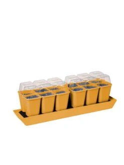 Gardener's Best® Humidity Dome, Set Of 2 -Best Garden Care Shop 3 4 crop 8613067 5879 tif