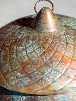 Acorn Hose Pot -Best Garden Care Shop 3 4 crop 8613361 0045