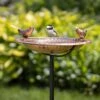 Pure Copper Bird Bath With Two Copper Birds And Multipronged Garden Pole -Best Garden Care Shop 3 4 crop 8613378 01v pure copper bird bath with two copper birds and multipronged garden pole