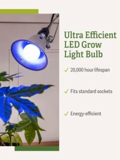 Miracle LED® Grow Light Bulb, Blue -Best Garden Care Shop 3 4 crop Miracle Bulb Blue 1