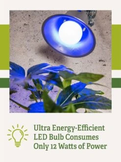 Miracle LED® Grow Light Bulb, Blue -Best Garden Care Shop 3 4 crop Miracle Bulb Blue 2