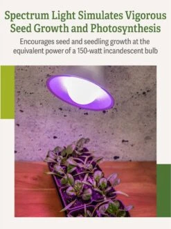 Miracle LED® Grow Light Bulb, Red And Blue 12 Miracle LED® Grow Light Bulb, Red And Blue -Best Garden Care Shop 3 4 crop Miracle Bulb RB 3