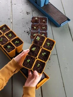 Gardener's Best® XL Seed Starting Kit -Best Garden Care Shop 40 135 6186