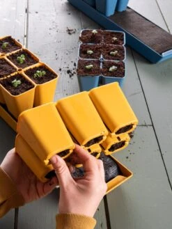 Gardener's Best® XL Seed Starting Kit -Best Garden Care Shop 40 135 6188