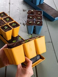 Gardener's Best® XL Seed Starting Kit -Best Garden Care Shop 40 135 6192 1