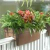 Self-Watering Railing Planter 2 Self-Watering Railing Planter -Best Garden Care Shop 40145 040 tif