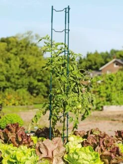 Stacking Tomato Ladders, Set Of 6 9 Stacking Tomato Ladders, Set Of 6 -Best Garden Care Shop 40309 100 tif