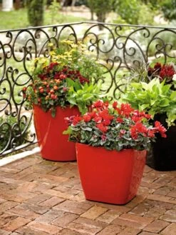 Viva Square Self-Watering Rolling Planter, 14" Diameter -Best Garden Care Shop 8586699 982 tif