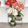Nesting Triple Pot Stand -Best Garden Care Shop 8586747 6012 tif