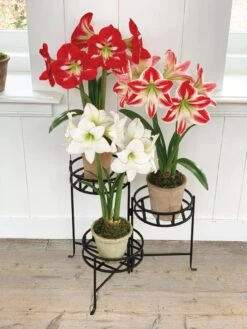 Nesting Triple Pot Stand