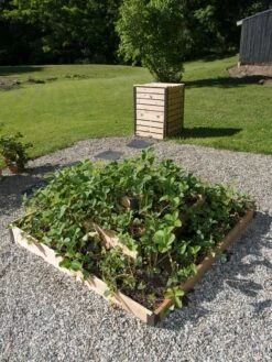 3-Tier Strawberry Bed -Best Garden Care Shop 8586752 2341 tif