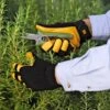 Women's Gold Leaf Soft Touch™ Gloves 1 Women's Gold Leaf Soft Touch™ Gloves -Best Garden Care Shop 8586896 015 tif