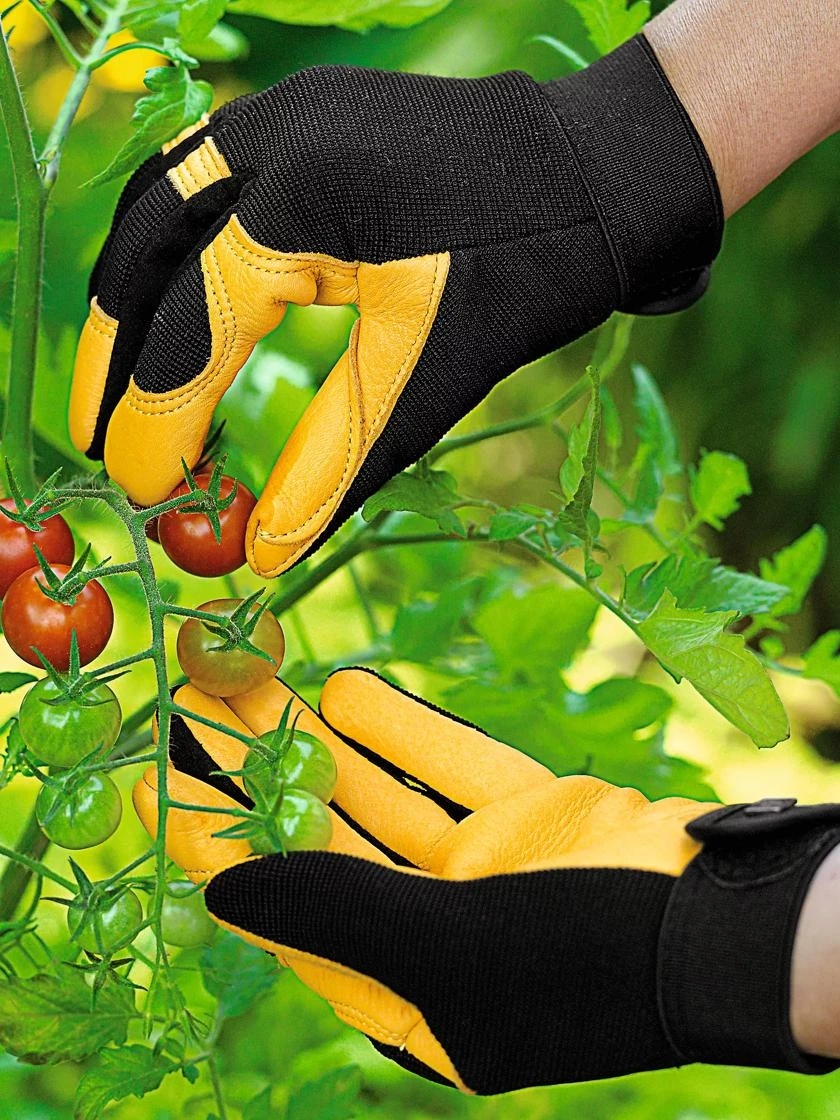 Women's Gold Leaf Soft Touch™ Gloves 4 Women's Gold Leaf Soft Touch™ Gloves - Image 2