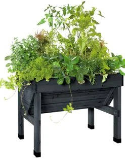 Compact VegTrug® Patio Garden -Best Garden Care Shop 8586919 001 tif