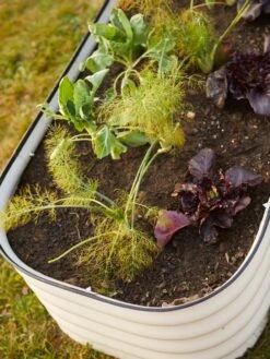 Birdies™ Modular Metal Raised Bed -Best Garden Care Shop 8586930 6019 tif