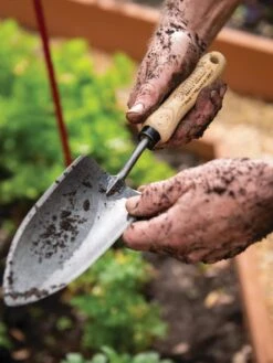 Gardener's Lifetime Trowel 13 Gardener's Lifetime Trowel -Best Garden Care Shop 8586972 3242 tif